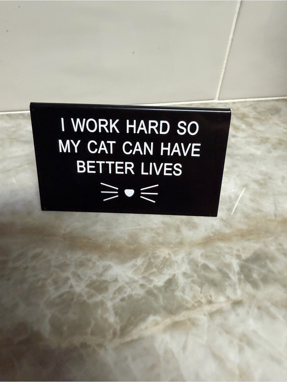 Black Cat Quote Wall Plaque - I Work Hard So My Cat Can Have Better Lives